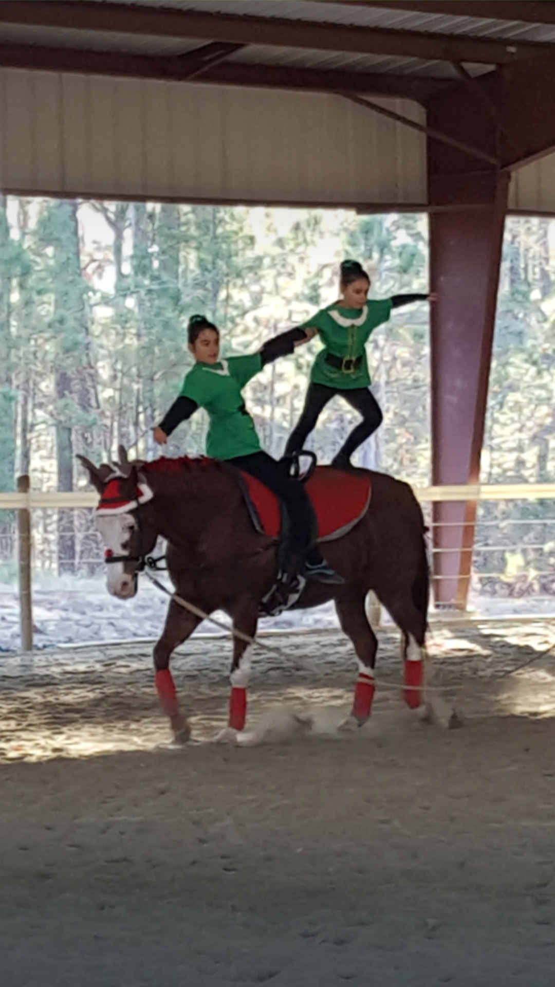 Quest Student Equestrian Vaulting